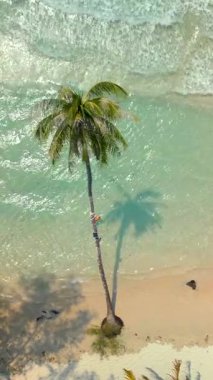 Tayland 'ın Koh Kood adasındaki tropik plajda kristal berrak turkuaz deniz üzerinde hindistan cevizi palmiyesi manzarası. Idyllic egzotik cennet havası.