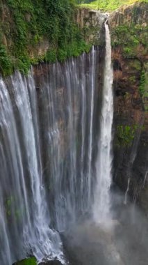 Doğu Java, Endonezya 'daki yeşil kayalıklarla çevrili verimli orman kanyonuna dökülen çok akımlı Tumpak Sewu şelalesinin havadan görüntüsü.