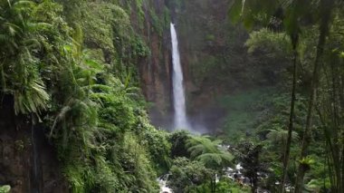 Kapas Biru şelalesinin sinematik hava manzarası Endonezya 'nın Doğu Cava kentindeki tropikal yağmur ormanlarıyla çevrili yemyeşil bir kanyona dökülen yüksek bir uçurumdan aşağı dökülüyor..