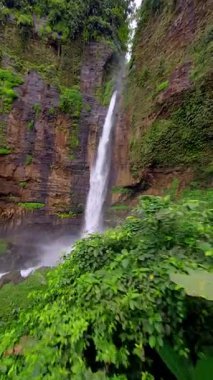 Sinematik FPV insansız hava aracı, Endonezya 'nın Doğu Java kentindeki tropikal yağmur ormanlarıyla çevrili, yüksek bir uçurumdan yemyeşil kanyona atlayan Kapas Biru şelalesine dalarken çekildi..