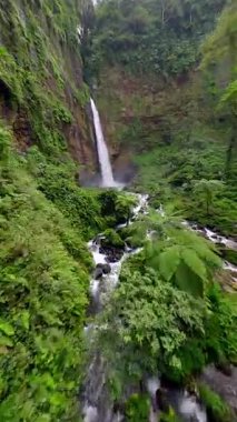 Sinematik FPV insansız hava aracı, Endonezya 'nın Doğu Java kentindeki tropikal yağmur ormanlarıyla çevrili, yüksek bir uçurumdan yemyeşil kanyona atlayan Kapas Biru şelalesine dalarken çekildi..