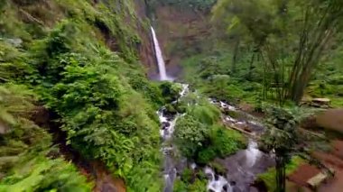 Sinematik FPV insansız hava aracı, Endonezya 'nın Doğu Java kentindeki tropikal yağmur ormanlarıyla çevrili, yüksek bir uçurumdan yemyeşil kanyona atlayan Kapas Biru şelalesine dalarken çekildi..