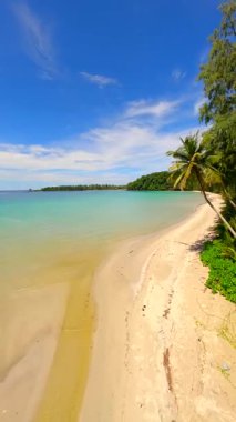 Tayland 'daki Koh Kood adasında, tropikal plajda, palmiye ağaçları, beyaz kum ve kristal berrak turkuaz deniz üzerinde uçan FPV uçağı. Egzotik kıyı şeridi ve cennet manzarasının havadan görünüşü.