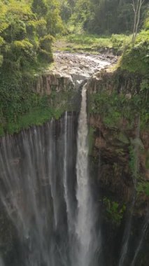 Görkemli Tumpak Sewu şelalesinin hava manzarası Endonezya 'nın Doğu Cava kentindeki yemyeşil yağmur ormanlarıyla çevrili derin orman kanyonuna dökülüyor..