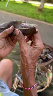 Geleneksel Balili hediye sepetini palmiye yapraklarından ören ellerin yakın çekimi. Bali 'de günlük ruhani ayin ve kültürel zanaat.