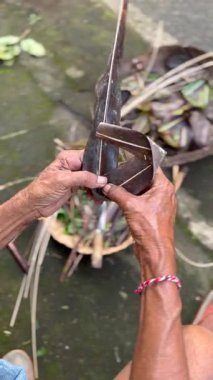 Geleneksel Balili hediye sepetini palmiye yapraklarından ören ellerin yakın çekimi. Bali 'de günlük ruhani ayin ve kültürel zanaat.