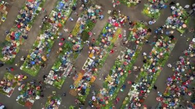 Meyve, sebze ve konik şapkalı insanlarla dolu canlı Vietnam pazarının yukarıdan aşağı görüntüsü. Güneydoğu Asya 'da renkli yerel kültür ve geleneksel sokak ticareti.
