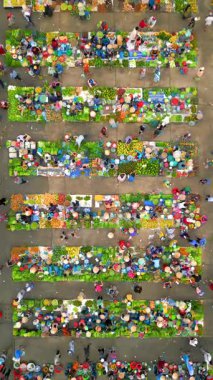 Meyve, sebze ve konik şapkalı insanlarla dolu canlı Vietnam pazarının yukarıdan aşağı görüntüsü. Güneydoğu Asya 'da renkli yerel kültür ve geleneksel sokak ticareti.