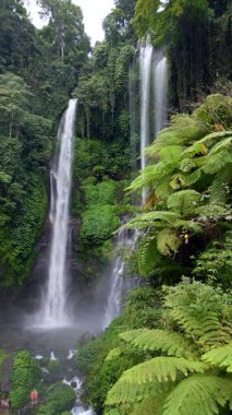Endonezya, Bali 'deki Sekumpul Şelalesinin insansız hava aracı görüntüsü. Yükselen akarsular ve yemyeşil tropik bitki örtüsüyle çarpıcı bir orman sahnesi..