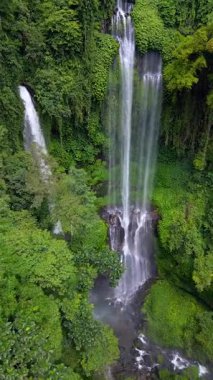 Endonezya, Bali 'deki Sekumpul Şelalesinin insansız hava aracı görüntüsü. Yükselen akarsular ve yemyeşil tropik bitki örtüsüyle çarpıcı bir orman sahnesi..