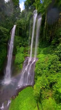 FPV insansız hava aracı uçuşu yemyeşil ormanda ve Endonezya, Bali 'deki Sekumpul Şelalesi' nin çağlayan akışında çarpıcı tropikal manzaraları yakalıyor..
