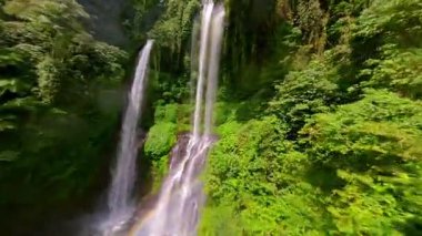 FPV insansız hava aracı uçuşu yemyeşil ormanda ve Endonezya, Bali 'deki Sekumpul Şelalesi' nin çağlayan akışında çarpıcı tropikal manzaraları yakalıyor..