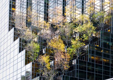 Trees and skyscrapers on the streets of New York, NY
