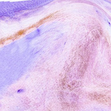 Suluboya Soyut 530 Arkaplan Resimli Duvar Kağıdı DokusuName