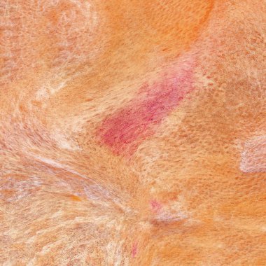 Suluboya Soyut 859 Arkaplan Resimli Duvar Kağıdı DokusuName