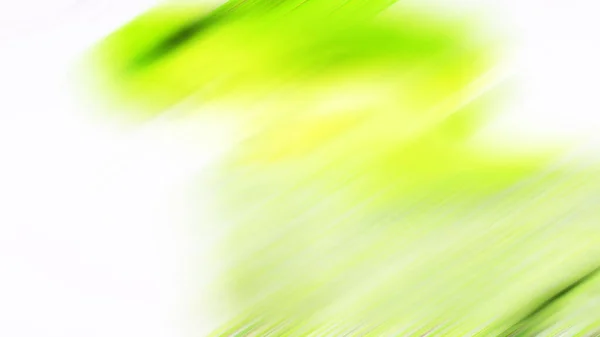 Зеленый Белый Фон — стоковое фото