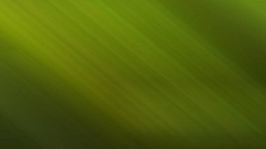 Bulanık ışık arkaplanı renkli