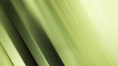 soyut bulanık ışık arkaplanı