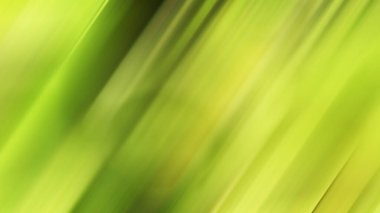 soyut bulanık yeşil arkaplan