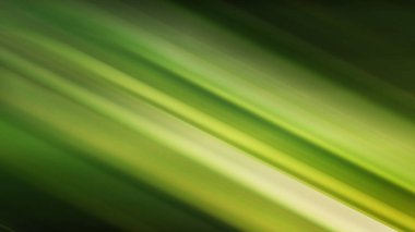 arka plan için yeşil yaprak dokusu