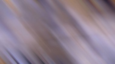 light effects. neon glow. festive decoration. colorful abstract background