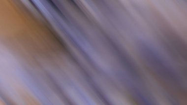 Aydınlatma gradyan hareketi arkaplanı bulanıklaştırdı. Renkli çizgiler desen duvar kağıdı