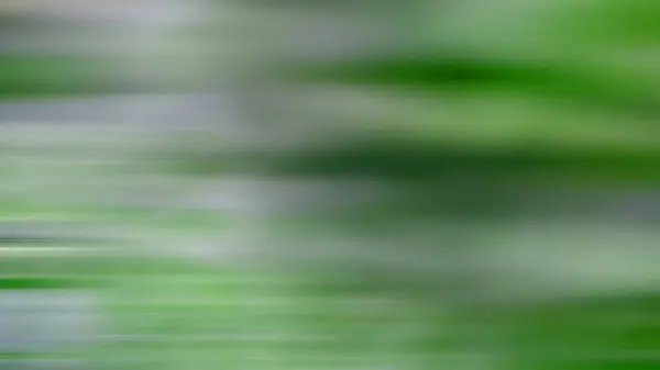 Verschwommener Hintergrund Grüner Hintergrund — Stockfoto