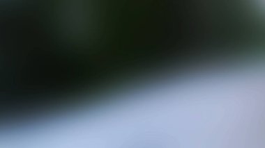 Açık gri arkaplan, bulanık ışık çizgileri, soyut arkaplan