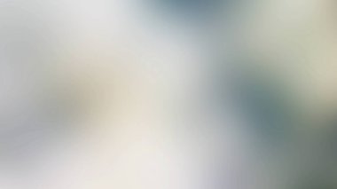 Açık gri gradyan arkaplan. Bulanık arkaplan.