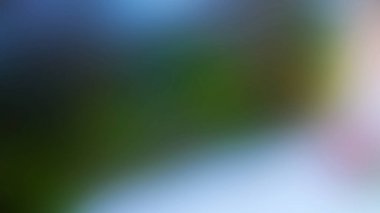 Soyut pastel yumuşak renkli desenli arkaplan tonu