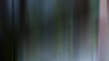 Soyut 25 ışık arkaplan duvar kağıdı rengarenk bulanık yumuşak yumuşak hareket parlak parlaklık