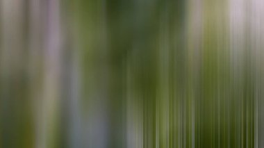 Soyut 25 ışık arkaplan duvar kağıdı rengarenk bulanık yumuşak yumuşak hareket parlak parlaklık