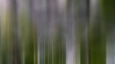 Soyut 25 ışık arkaplan duvar kağıdı rengarenk bulanık yumuşak yumuşak hareket parlak parlaklık