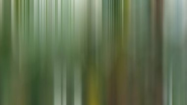 ışık soyut gradyan hareketi bulanık arkaplan