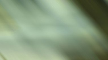 Soyut 26 Işık Arkaplan Duvar Kağıdı Renkli Gradyan Bulanık Yumuşak Yumuşak