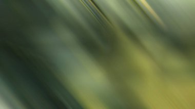 Soyut 26 Işık Arkaplan Duvar Kağıdı Renkli Gradyan Bulanık Yumuşak Yumuşak