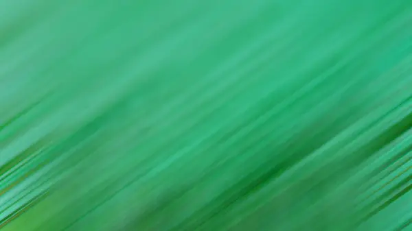 Hellgrünes Vektormuster Verschwommen — Stockfoto
