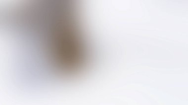 Bulanık eğimli arkaplan. Renkli yumuşak pankart şablonu. Bilgisayar ekranı duvar kağıdı. Basit Gradyan