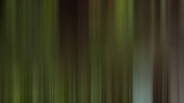 Soyut POND7 Işık Arkaplan Duvar Kağıdı Renkli Gradyan Bulanık Yumuşak Yumuşak Hareket Parlak