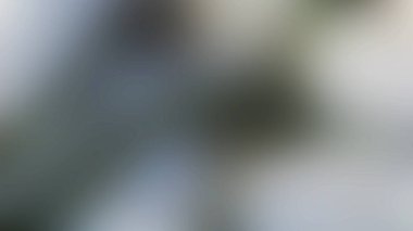 Bulanık eğimli arkaplan. Renkli yumuşak pankart şablonu. Bilgisayar ekranı duvar kağıdı. Basit Gradyan