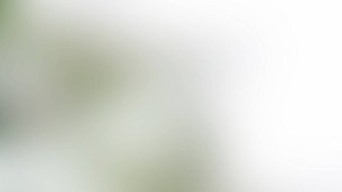 Soyut 27 Işık Arkaplan Duvar Kağıdı Renkli Gradyan Bulanık Yumuşak Yumuşak Hareket Parlaklığı