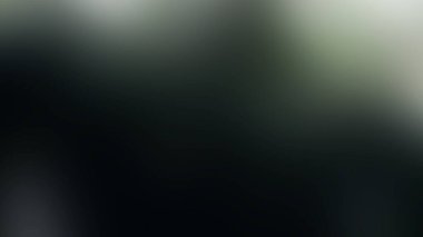 Soyut 27 Işık Arkaplan Duvar Kağıdı Renkli Gradyan Bulanık Yumuşak Yumuşak Hareket Parlaklığı