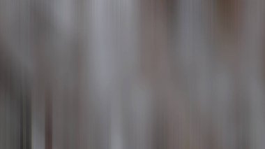 Soyut 28 Işık Arkaplan Duvar Kağıdı Renkli Gradyan Bulanık Yumuşak Yumuşak Hareket Parlak