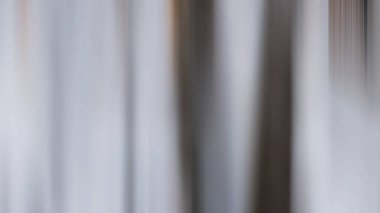 Soyut 28 Işık Arkaplan Duvar Kağıdı Renkli Gradyan Bulanık Yumuşak Yumuşak Hareket Parlak