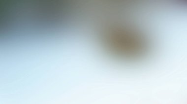 Soyut 28 Işık Arkaplan Duvar Kağıdı Renkli Gradyan Bulanık Yumuşak Yumuşak Hareket Parlak