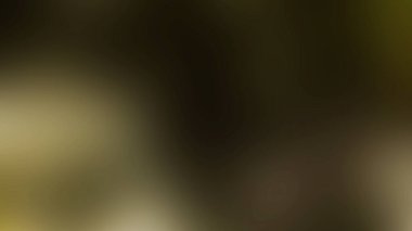 Soyut 28 Işık Arkaplan Duvar Kağıdı Renkli Gradyan Bulanık Yumuşak Yumuşak Hareket Parlak