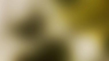 Soyut 28 Işık Arkaplan Duvar Kağıdı Renkli Gradyan Bulanık Yumuşak Yumuşak Hareket Parlak