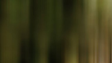 Soyut Pond8 hafif arkaplan duvar kağıdı gradyanı yumuşak yumuşak hareket