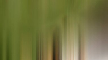 Soyut Pond8 hafif arkaplan duvar kağıdı gradyanı yumuşak yumuşak hareket