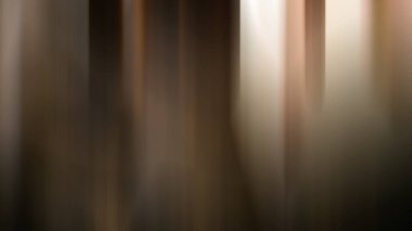 Soyut PUI Işık Arkaplan Duvar Kağıdı Renkli Gradyan Bulanık Yumuşak Yumuşak Hareket Parlaklığı